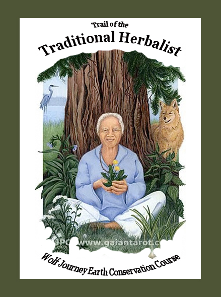 Tenets of Herbal Medicine: Guidelines & Rules for Health, Safety & Success