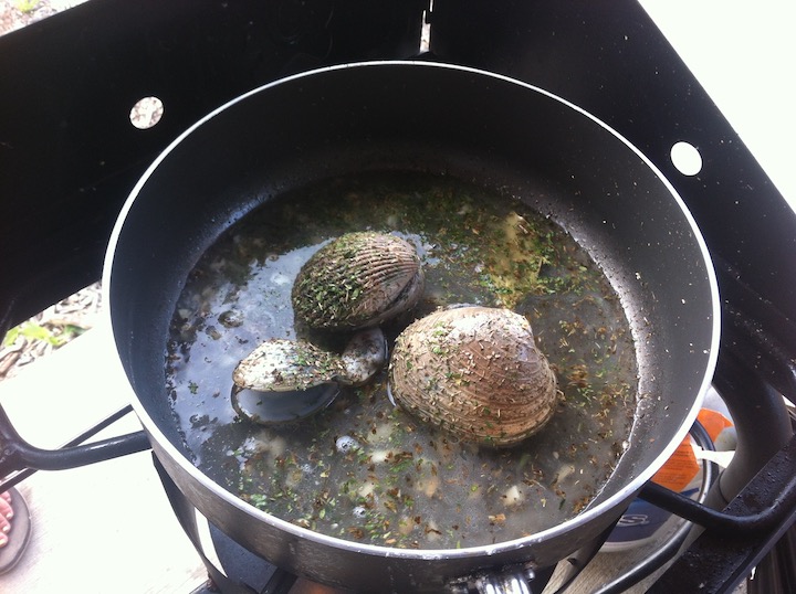3 clams cooking in a pan with water, lemon juice, white wine and seasonings.