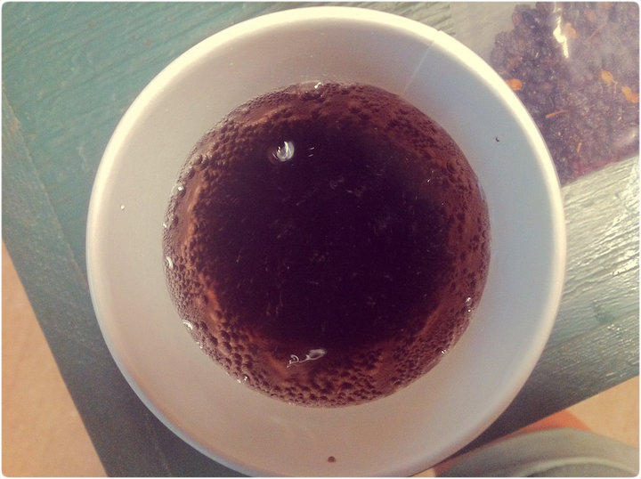 Recipes for Making • Sparkling Elder Herbal Soda • Elderberry & Elder Flower Syrups