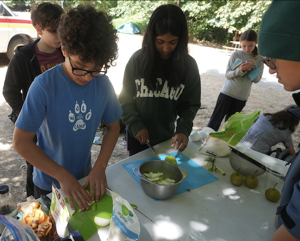2026 Advanced Herbal Medicine, Cooking & Craft Camp