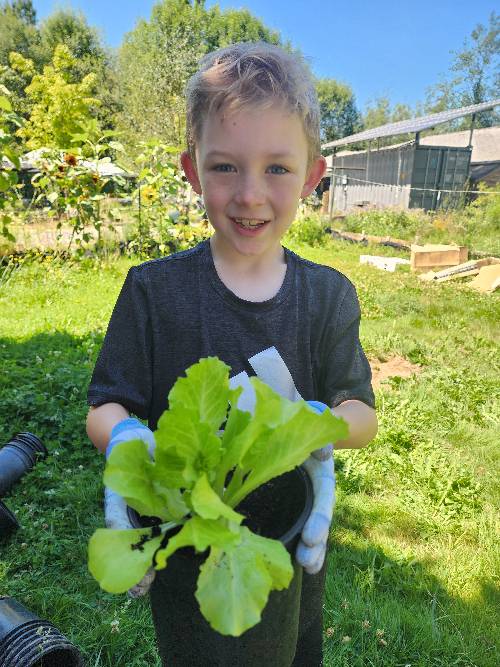 A young boy is holding up a romaine lettuce that he just potted up.