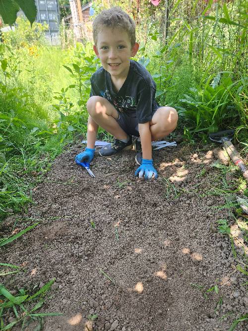 Young boy squatting on soil in a garden about to plant carrot seeds.