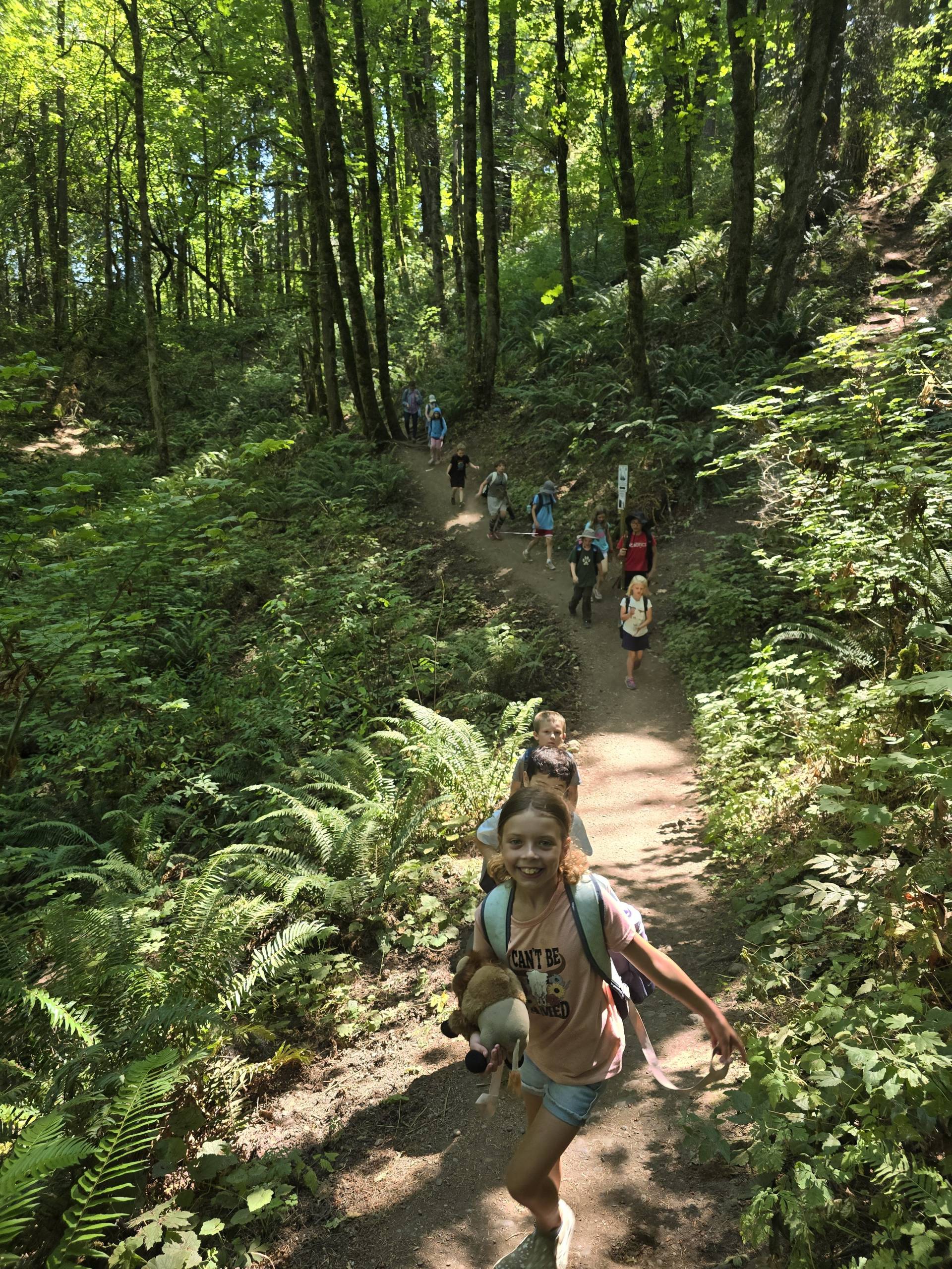 A group of happy kids is walking down a forest trail in the dappled sunlight toward the camera.