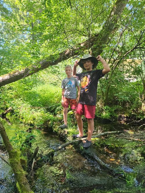 2 boys standing on a downed log in the middle of a creek surrounded by many green plants in dappled sunlight