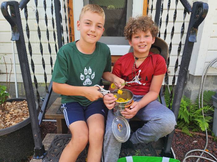 2 smiling boys sitting on a little porch cutting bright yellow flowers into a small metal pot.  The flowers are dyer's chamomile.
